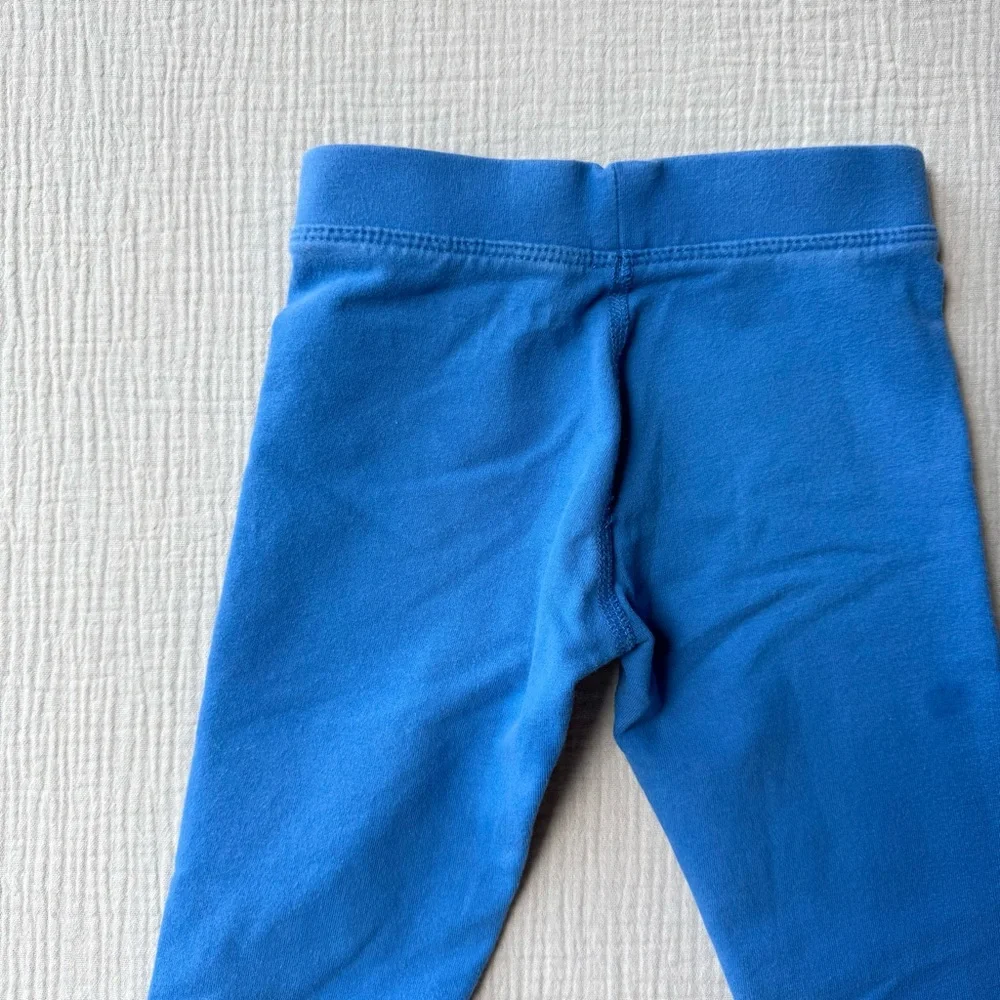 Primary Cozy Leggings in Blueberry 2T